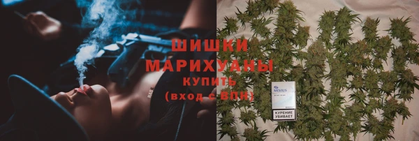 МДПВ Волоколамск